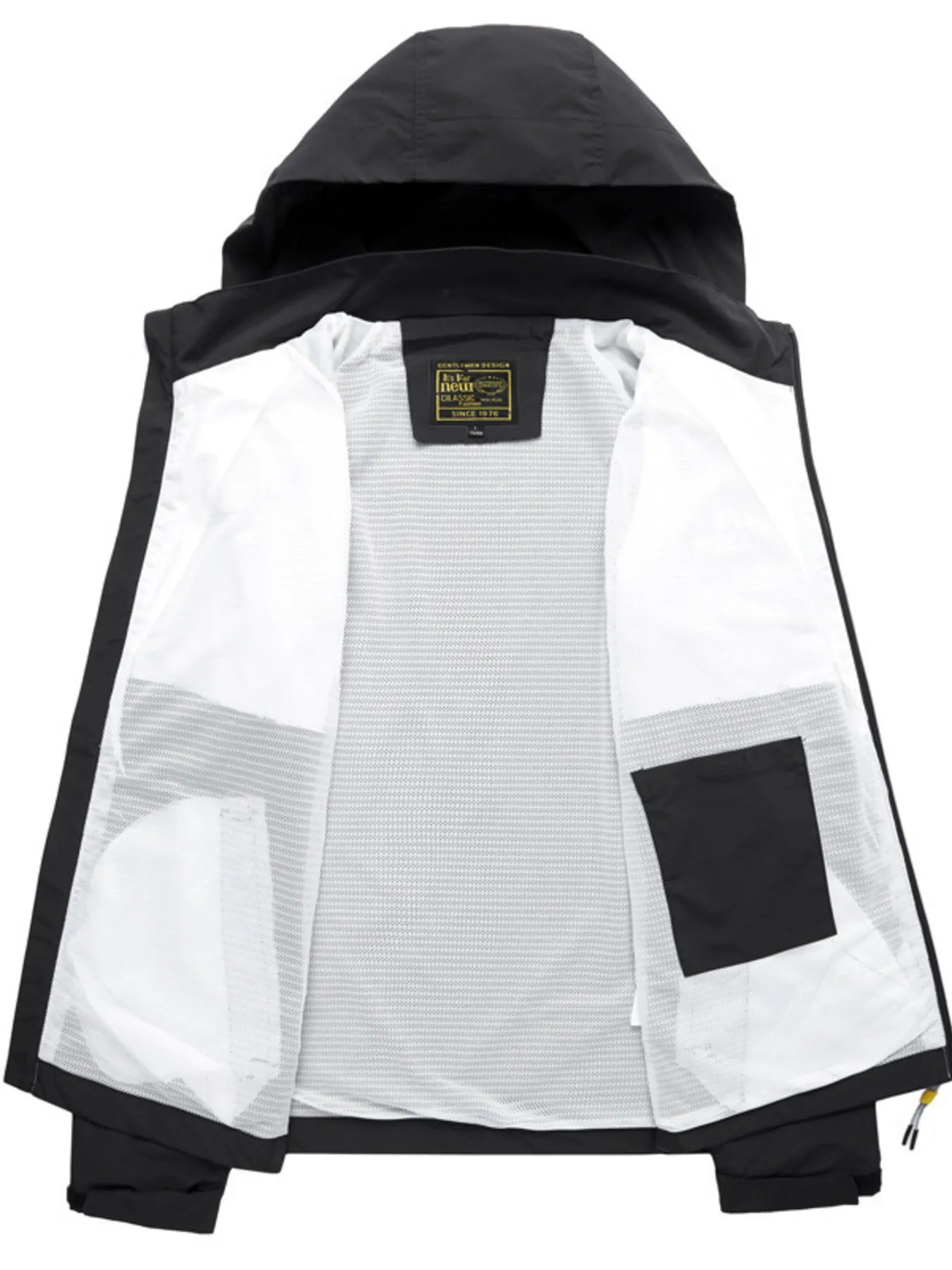 Trendsi - Sol & Bloom