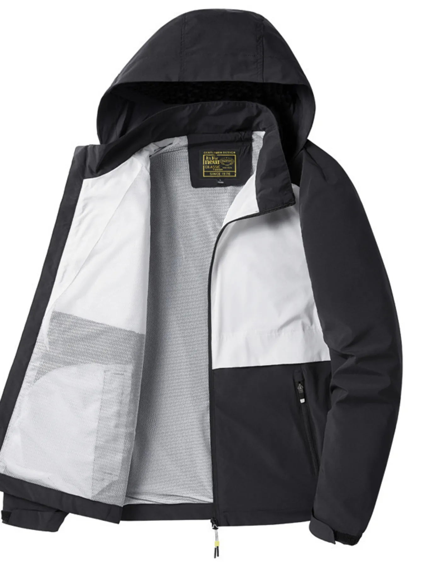 Trendsi - Sol & Bloom