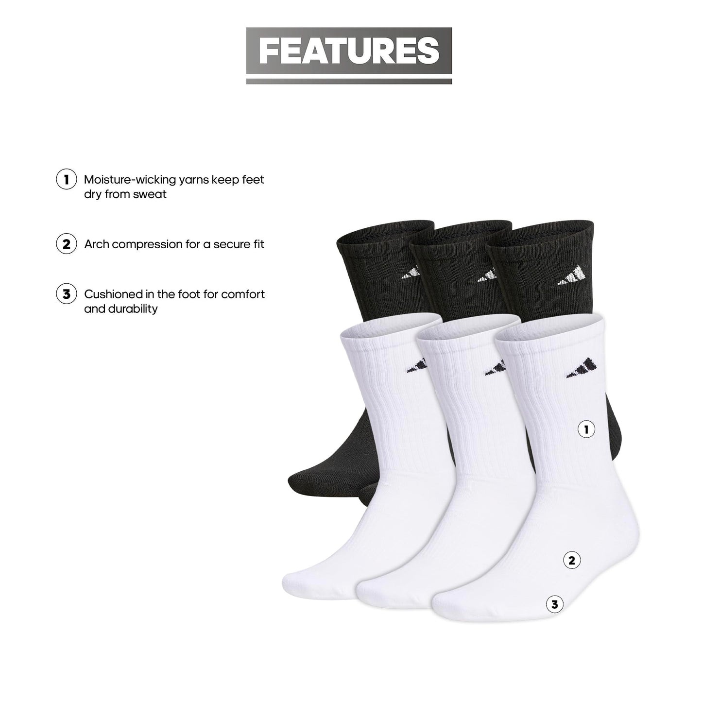 Sol & Bloom - Sol & Bloom