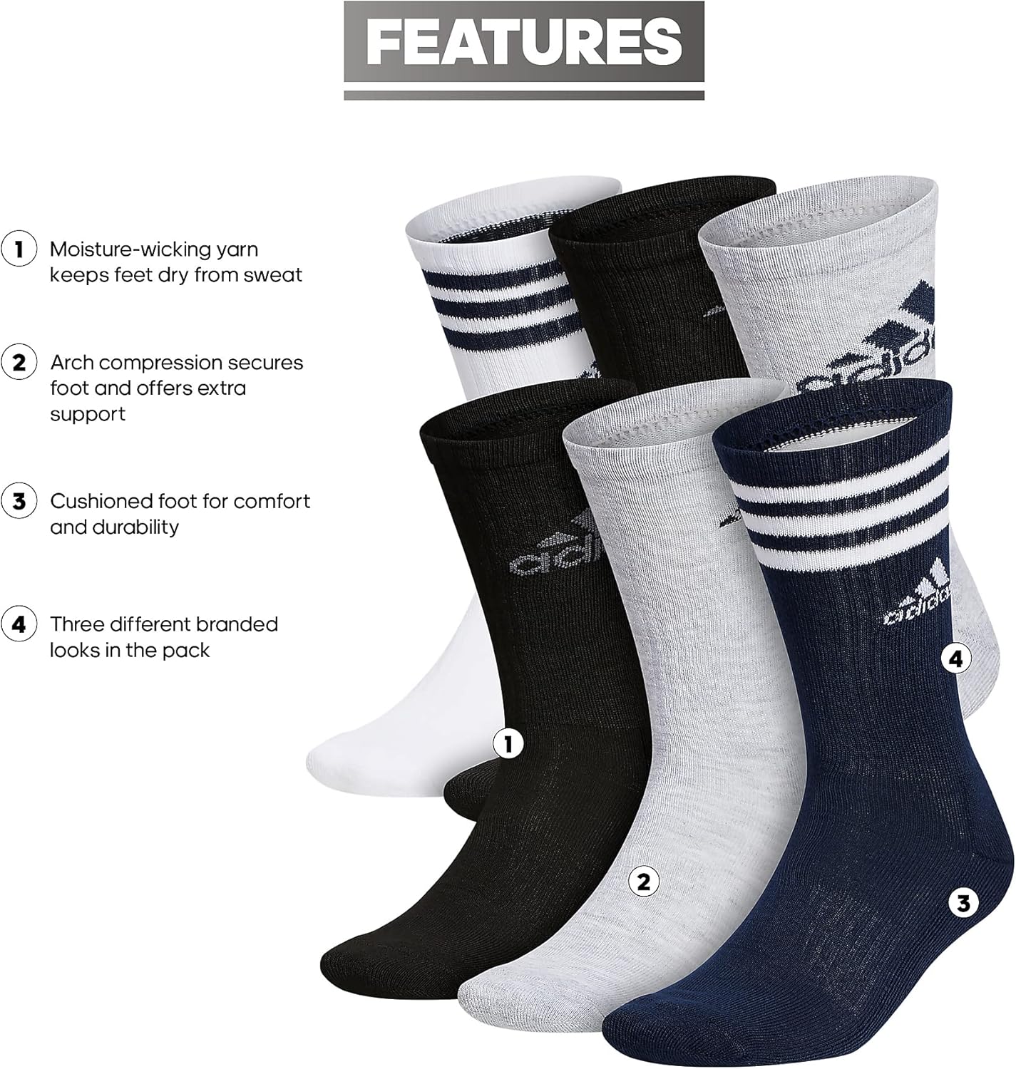 Sol & Bloom - Sol & Bloom