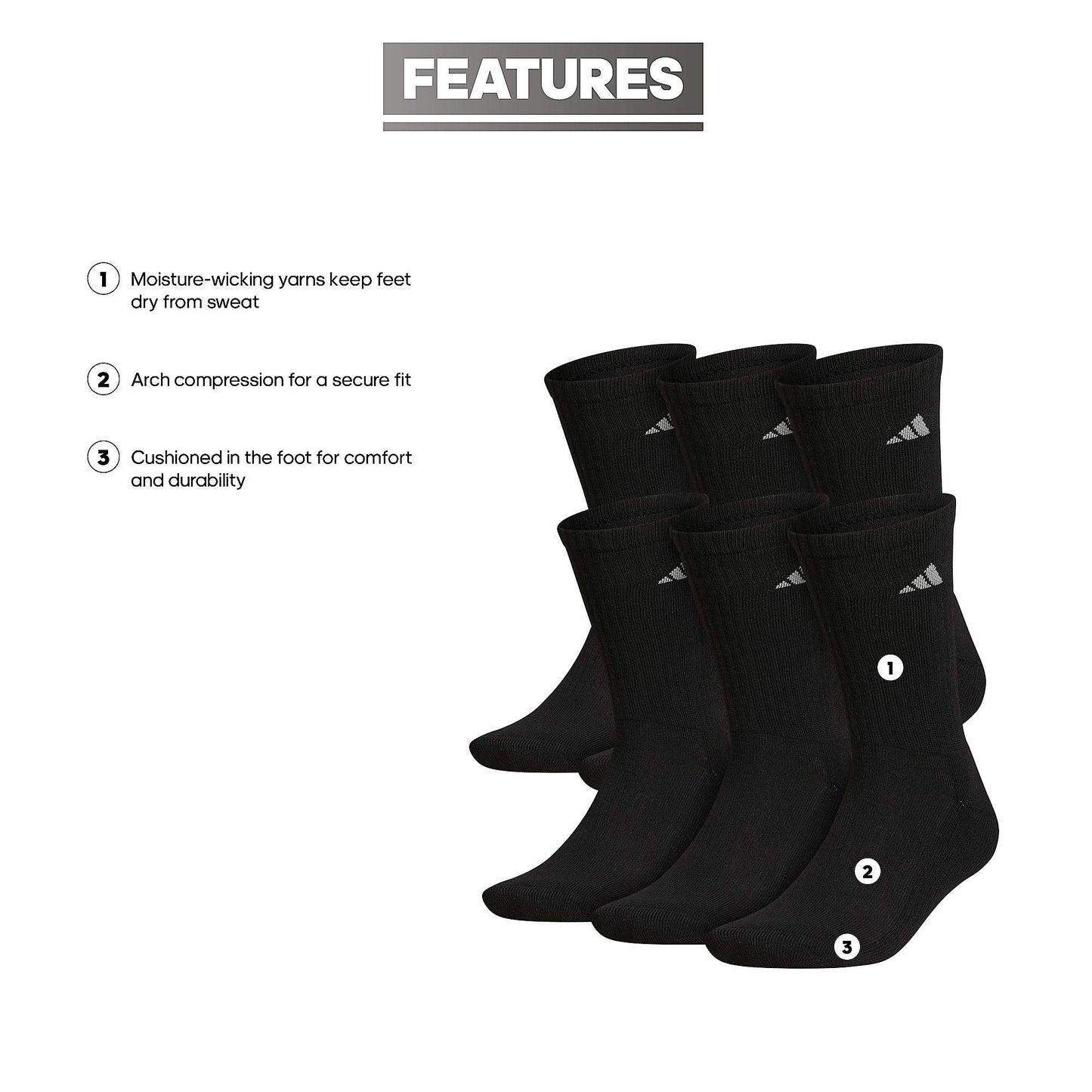 Sol & Bloom - Sol & Bloom