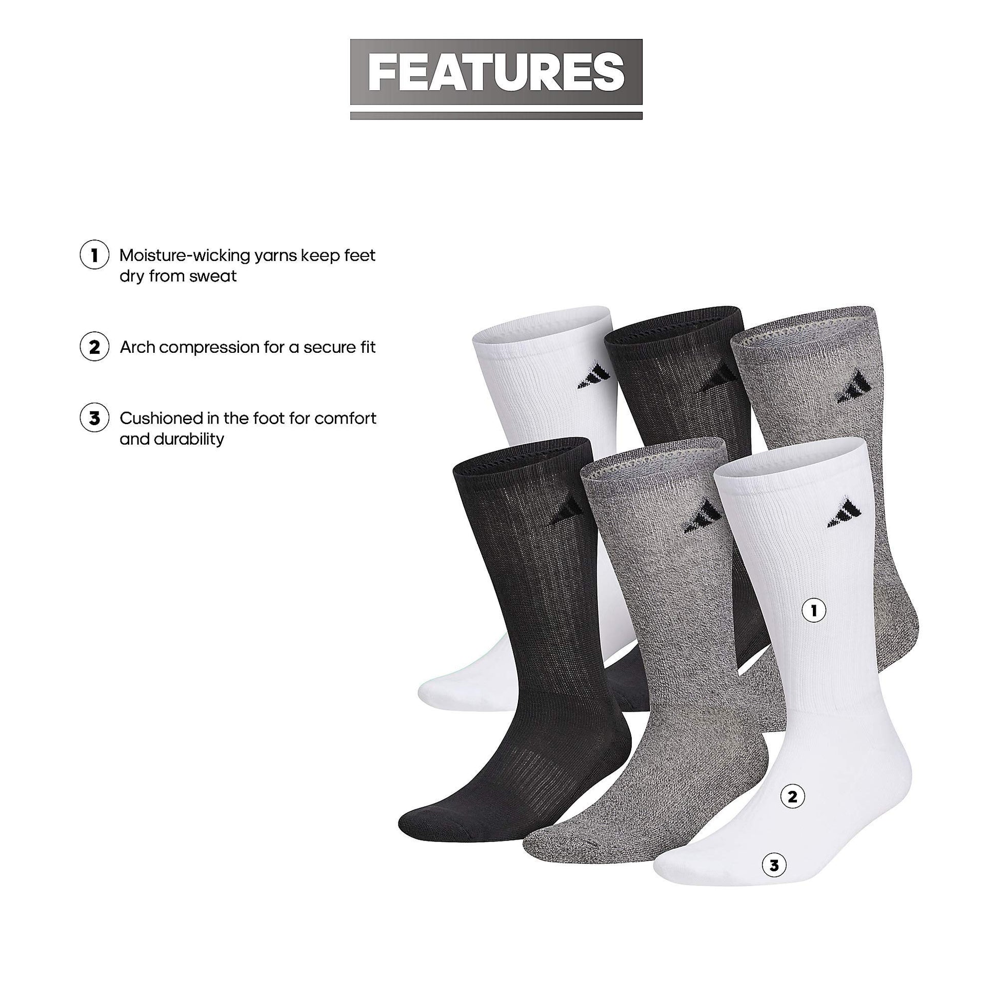 Sol & Bloom - Sol & Bloom