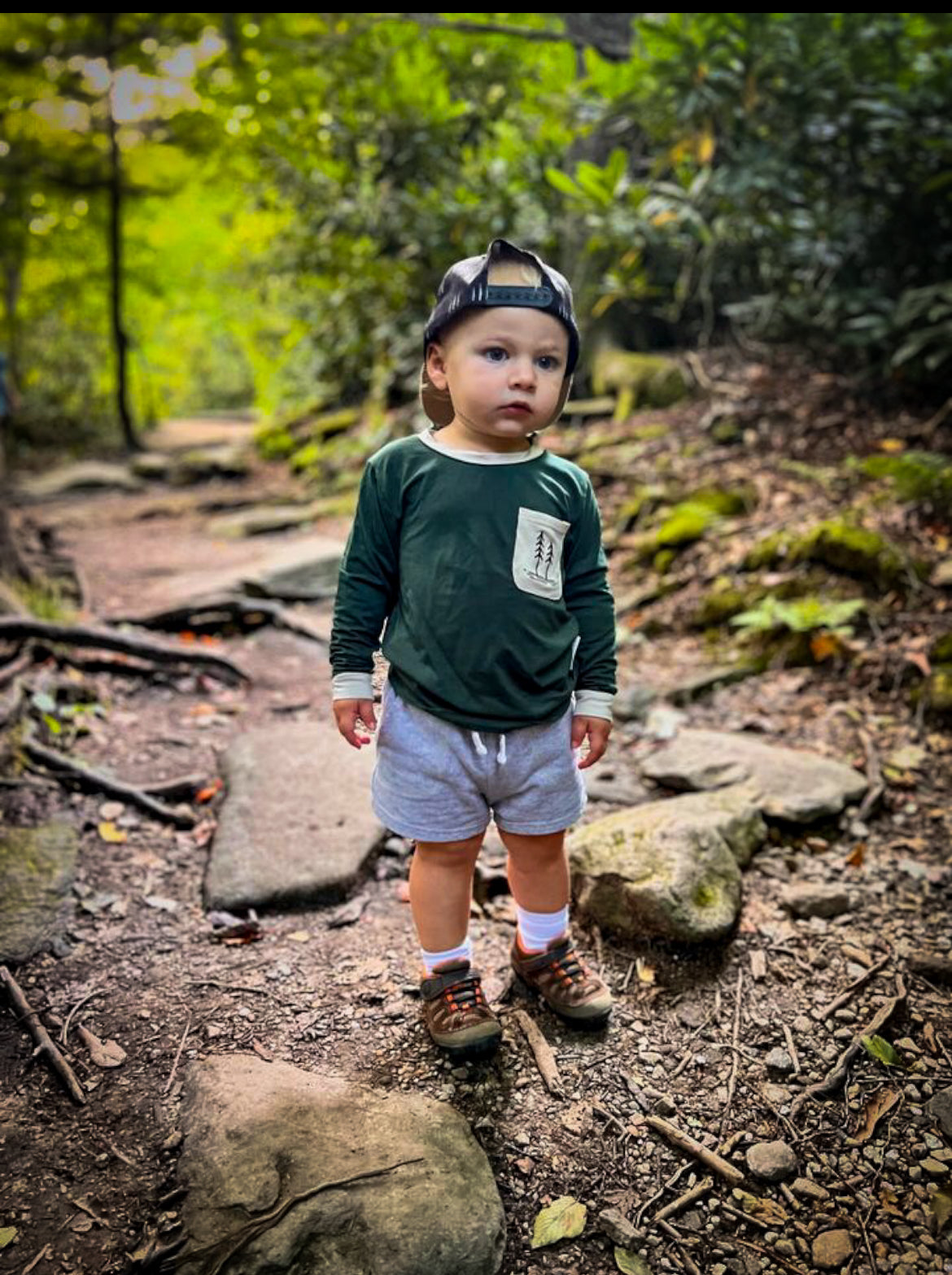 Sol & Bloom - Sol & Bloom