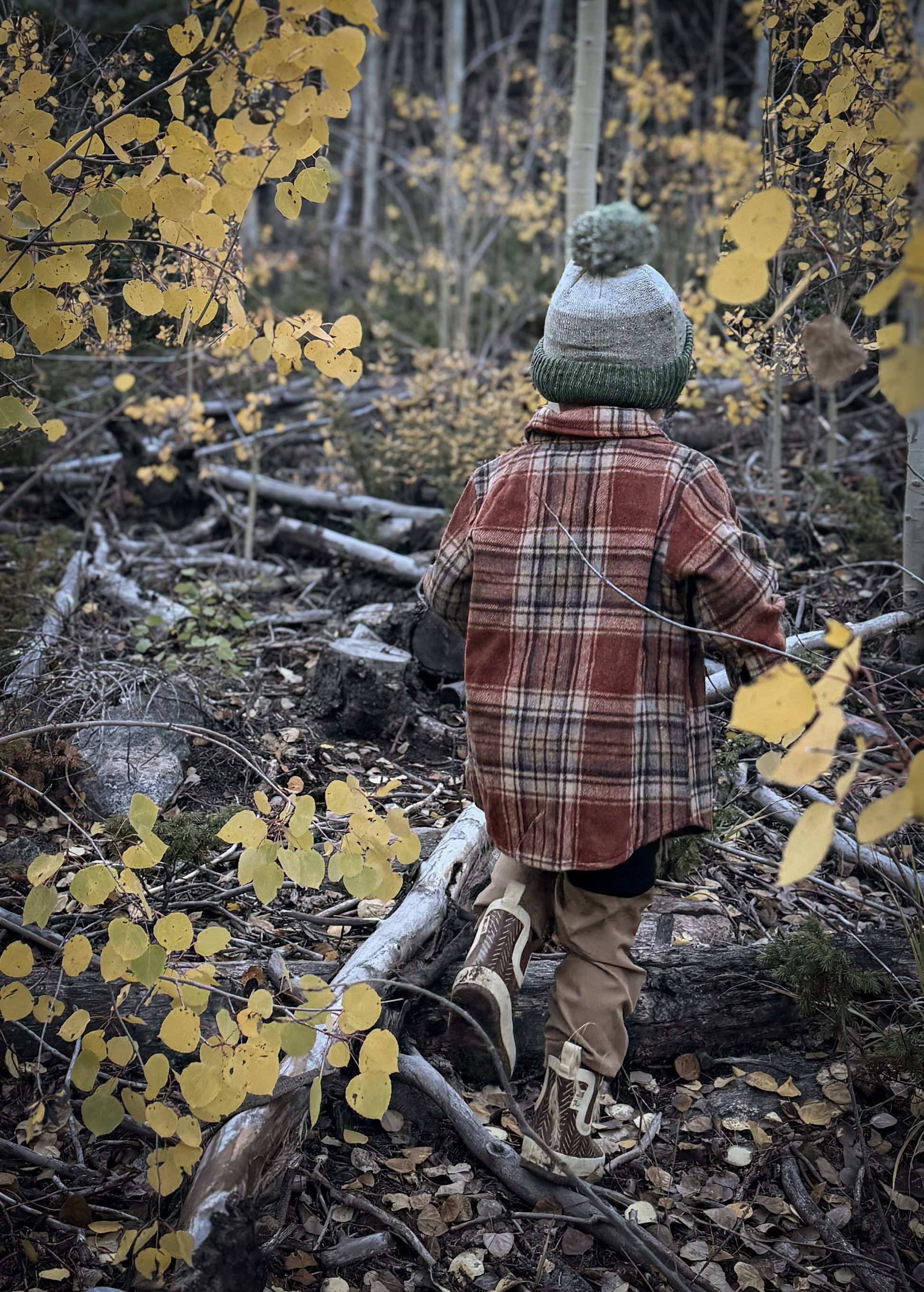 Sol & Bloom - Sol & Bloom