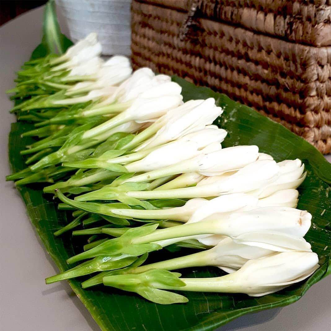 KOKOA BOTANICS - Sol & Bloom